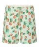 Ramatuelle tortola swim short green