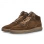 Floris v Bommel Lenni 02.10-Cognac G1/2