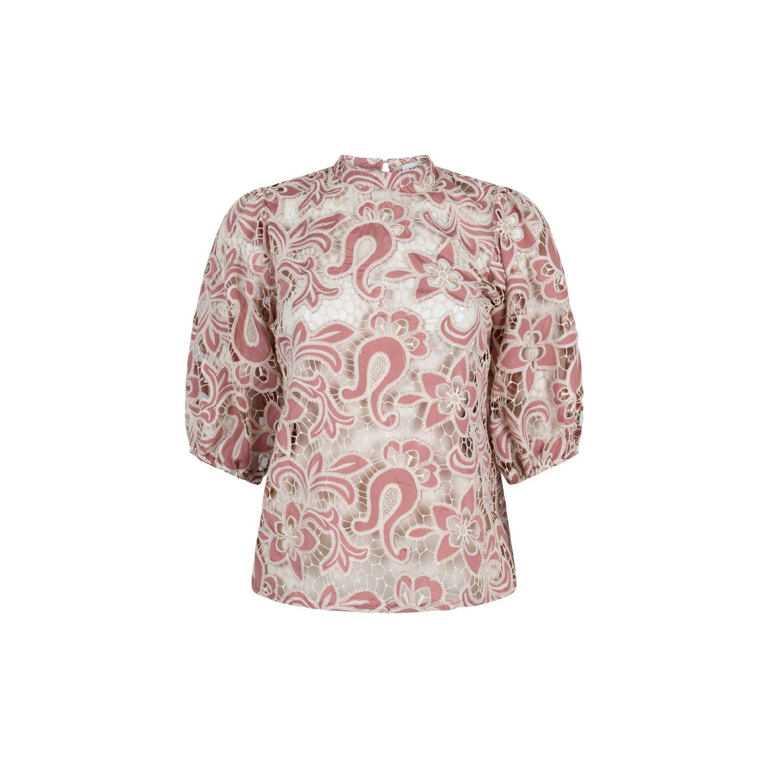 Aaiko shaila pes top pomegranate