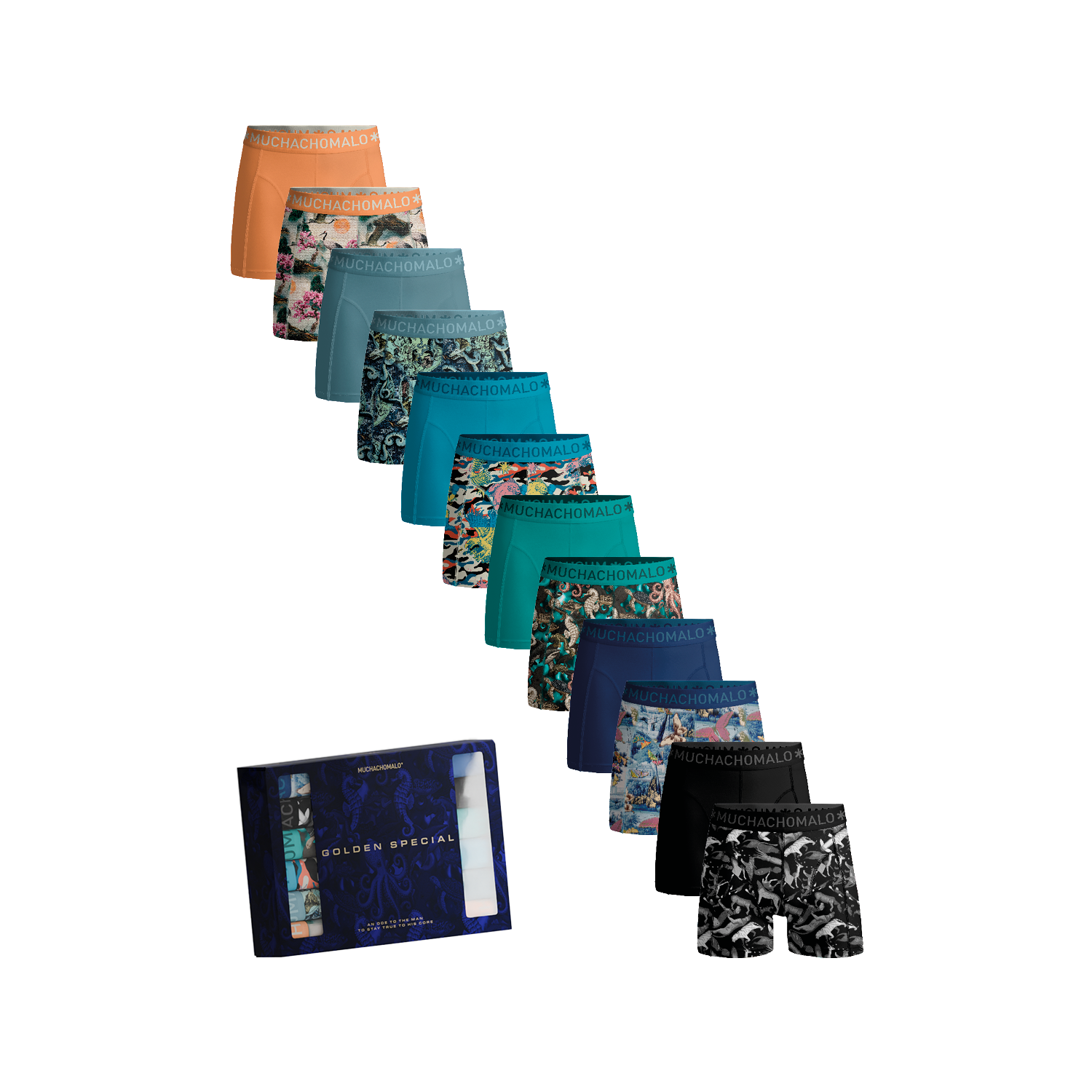 Muchacomalo 12-pack boxer short print solid pr/bl/